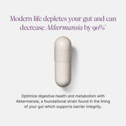 Pendulum Akkermansia Probiotic with Prebiotic Fiber 30 Capsules