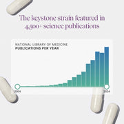 Pendulum Akkermansia Probiotic with Prebiotic Fiber 30 Capsules